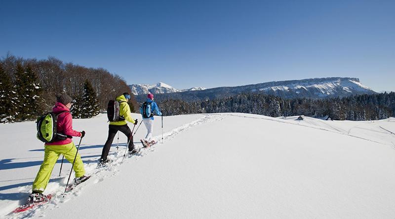 Les Chalets De Ludran Viuz-en-Sallaz Kültér fotó